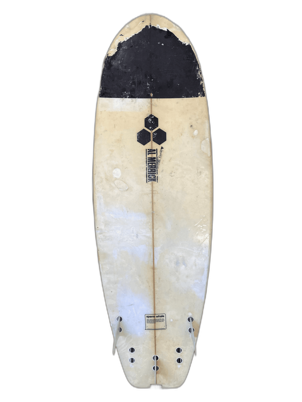 Al Merrick Sperm Whale 6.5