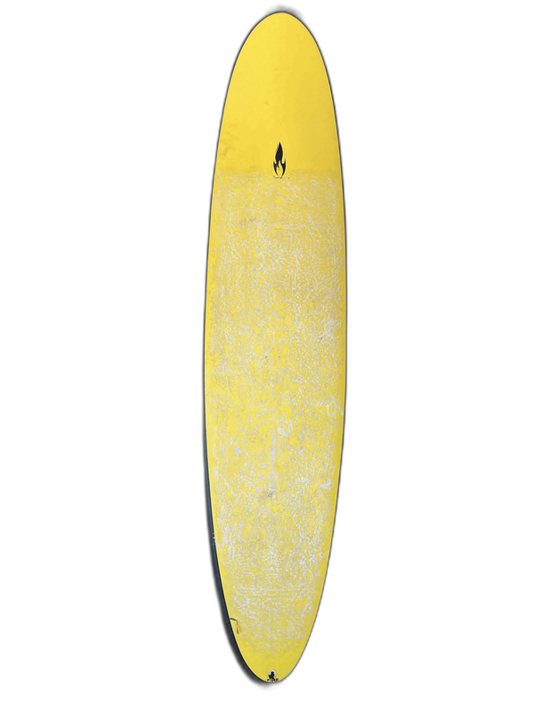 Yellow Log 9